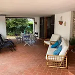 La Betulla