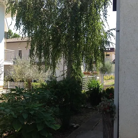 La Betulla *